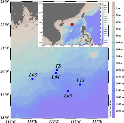 Trophic Interactions of Mesopelagic Fishes in the South China Sea Illustrated by Stable Isotopes and Fatty Acids